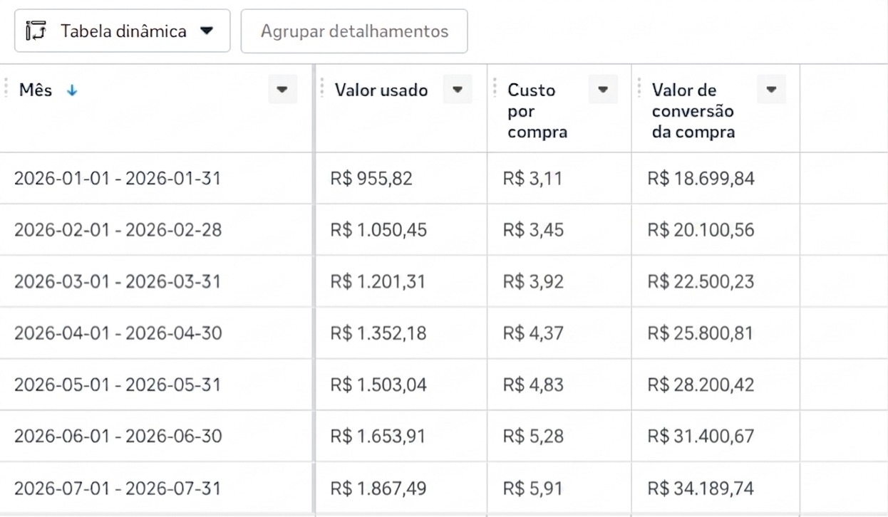 Gerenciador de anúncios — crescimento mês a mês de uma pizzaria